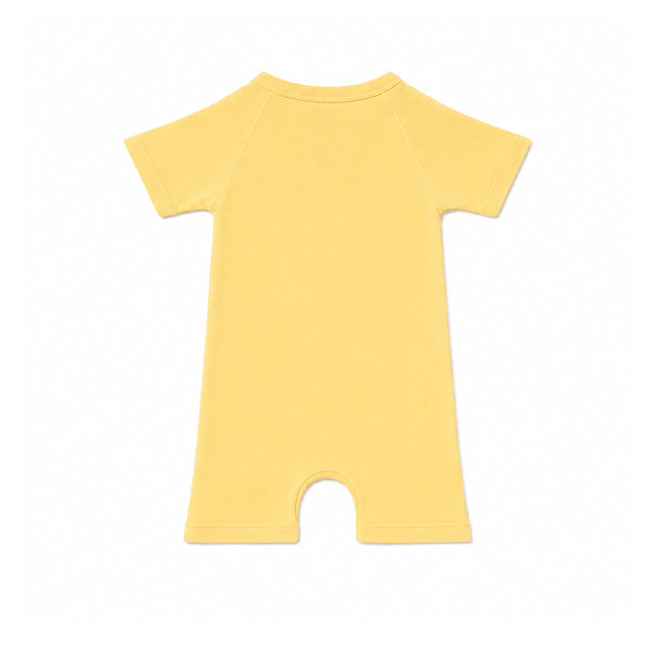 BABY ROMPER (GARDEN GLADE)